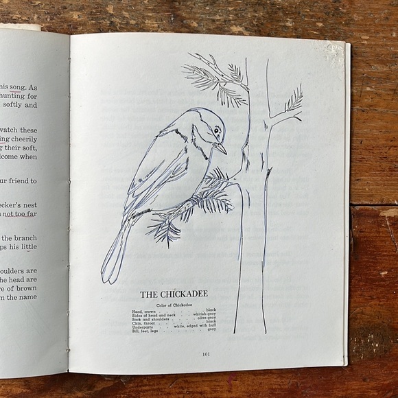 Birds To Know Vintage 60’s Colouring And Lesson Book - Picture 11 of 14